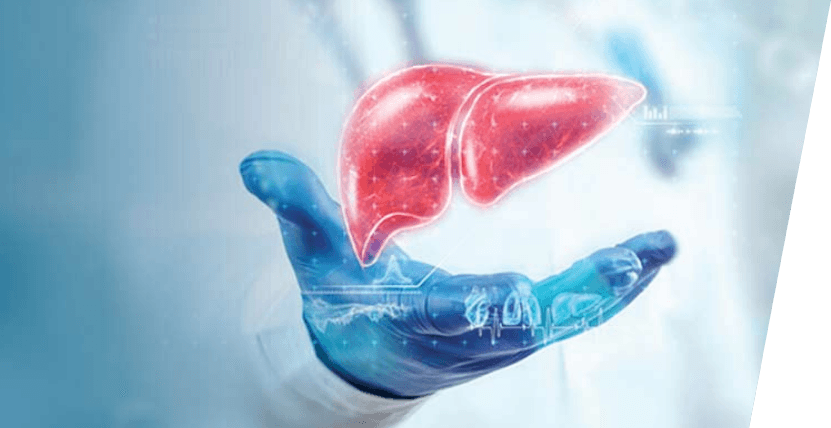 Promoting Liver Health: A Comprehensive Approach to Prevention and Advocacy